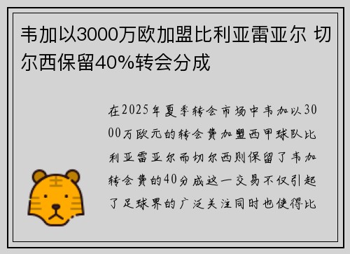 韦加以3000万欧加盟比利亚雷亚尔 切尔西保留40%转会分成